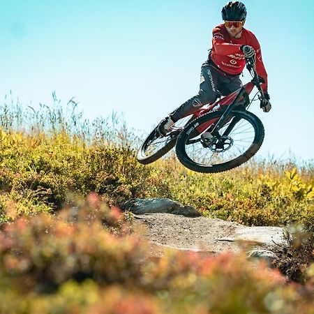 Catrina Lodge Disentis Eksteriør bilde